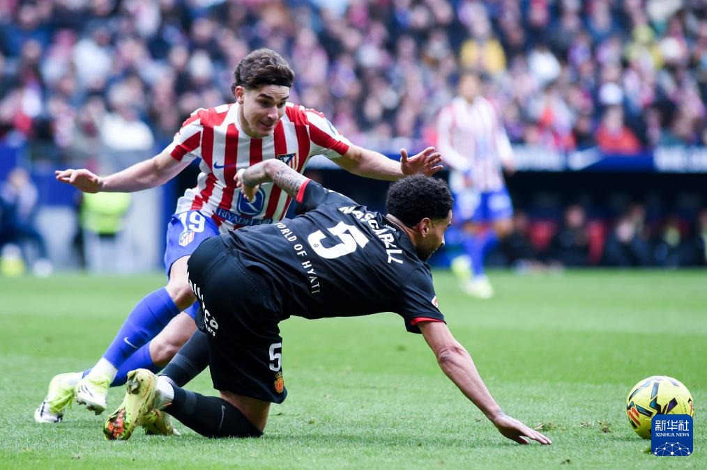 management-dashboard